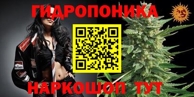 spice Гусь-Хрустальный