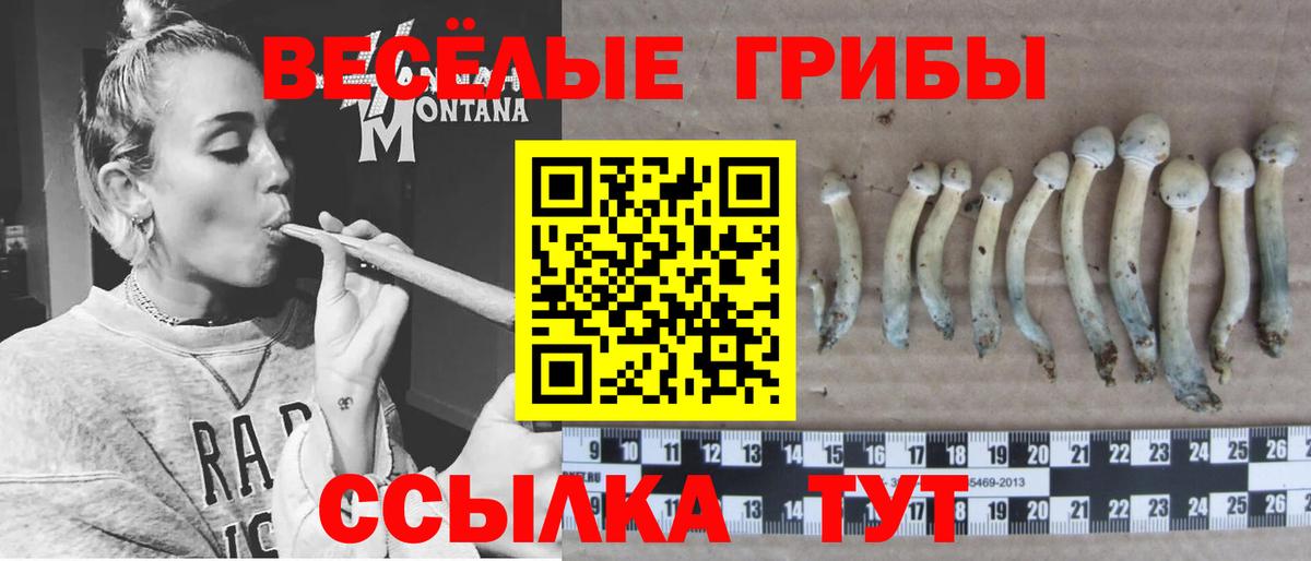 Псилоцибиновые грибы мицелий Кондопога
