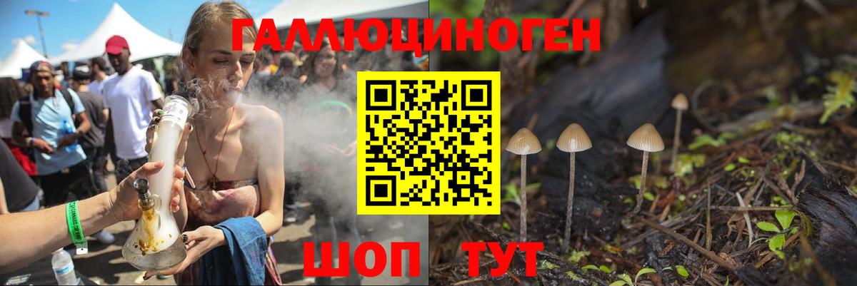Кондопога  Псилоцибиновые грибы Magic Shrooms  Вход с VPN 